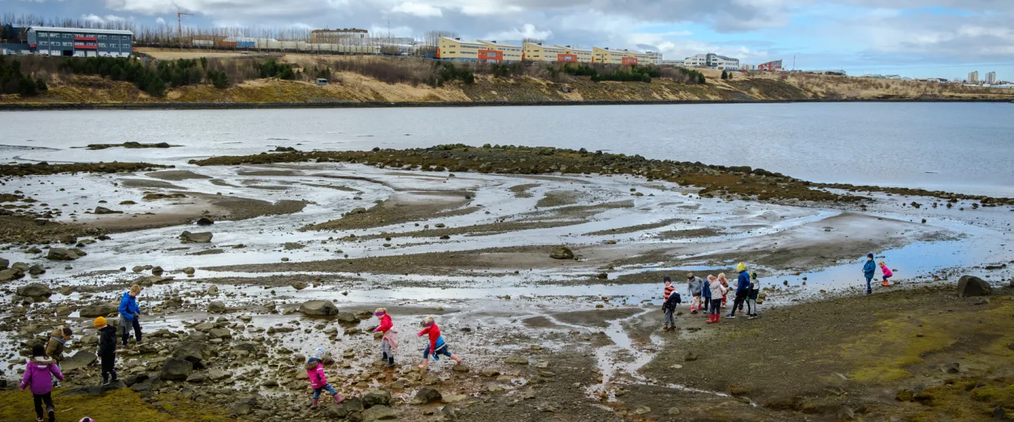 Fuglaskoðun í Grafarvogi
