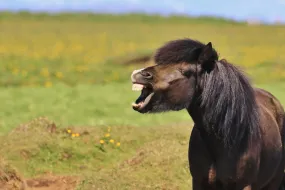 ""