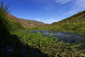Icelandic nature in the summer